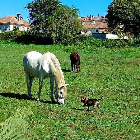 Casa Do Renque 別荘 *