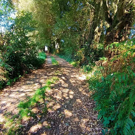 Casa Do Renque * アルスーア