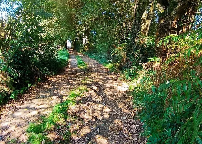 Casa Do Renque * Arzúa